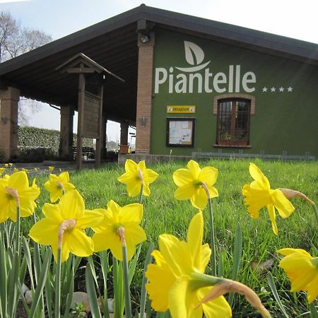 Camping Piantelle Moniga del Garda Kültér fotó